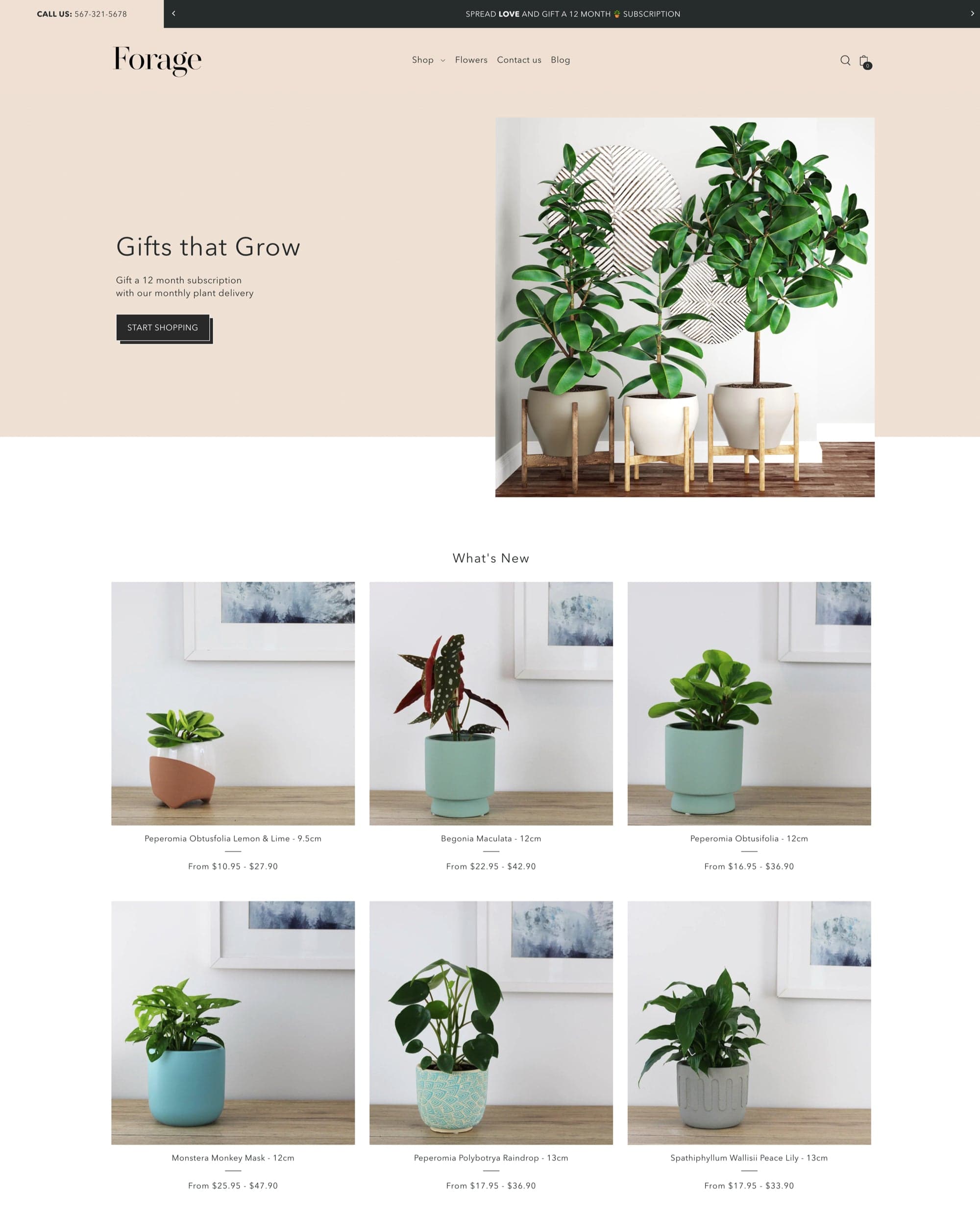 Foodie Grow preset
